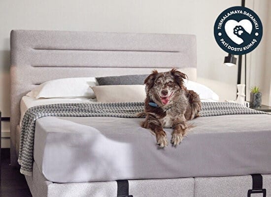 Yatas Bedding | Cool Action Pro Baza Bed 160x200 | Boxsprings | Met Opbergruimte