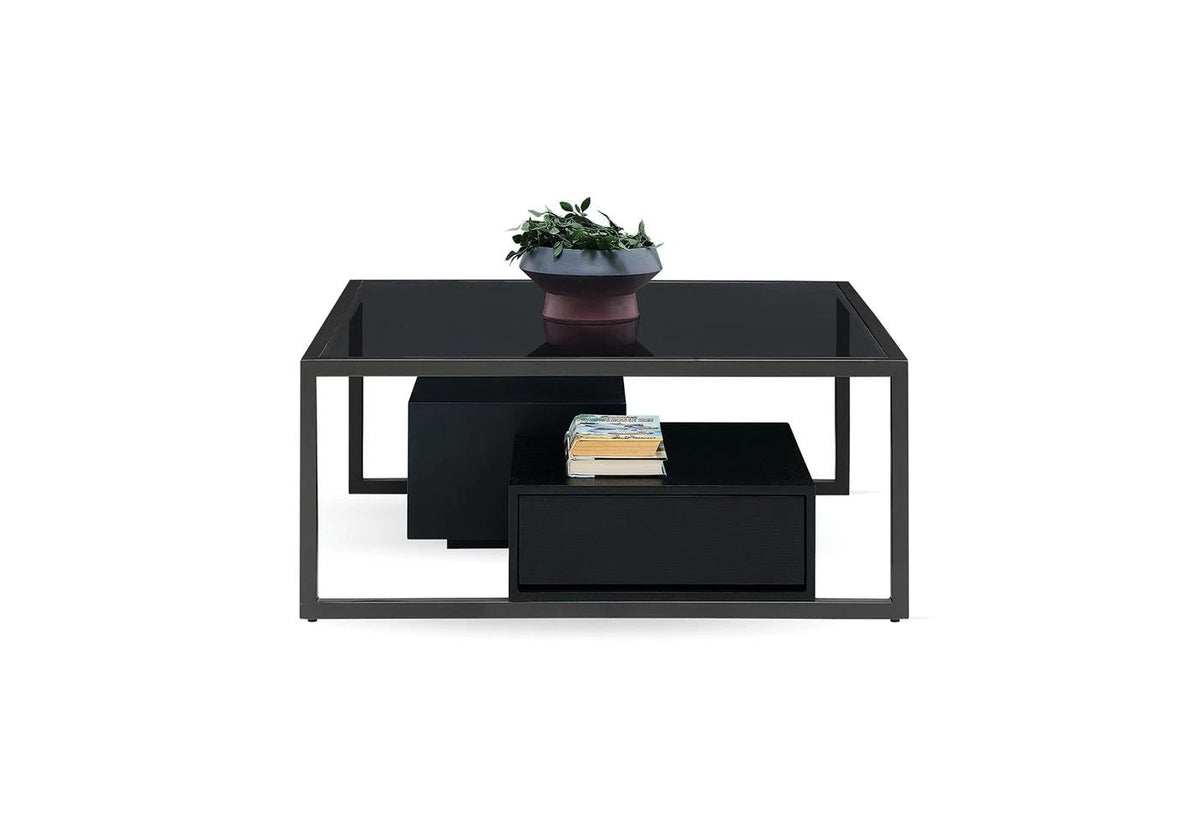 Berta salontafel met een plant erop en een zwarte lade onder het glazen blad