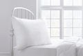 Visco Therapy Free Kussen
