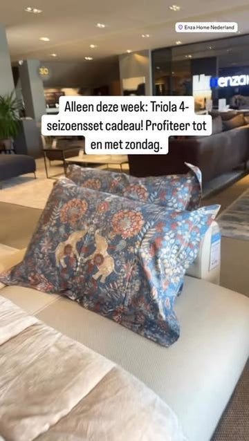 Kussens van de Triola 4 seizoenenset op een bank in de showroom